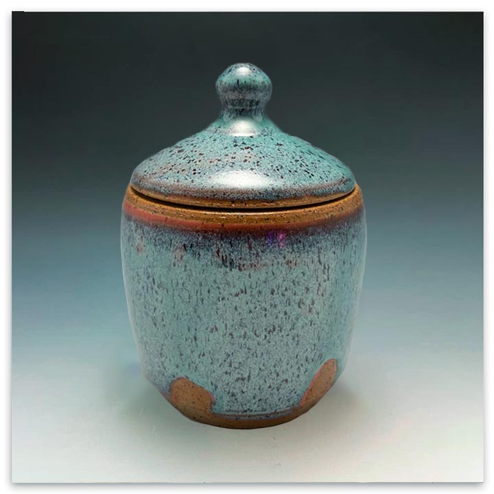 Lidded-jar-2-by-Brianna-Rickson-2